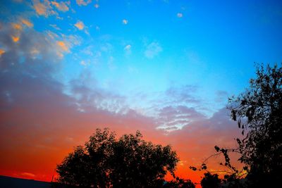 Low angle view of silhouette trees against orange sky