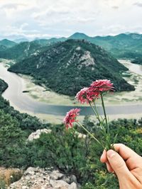 Close-up of hand holding flowering plant against mountain