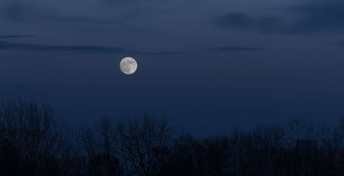 Low angle view of moon in sky at night