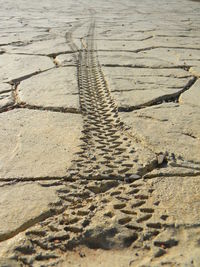 High angle view of tire tracks on beach