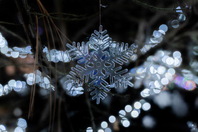 Close-up of christmas decoration