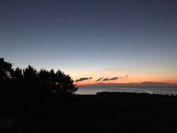 Silhouette trees by sea against sky during sunset