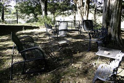 Chairs on tree