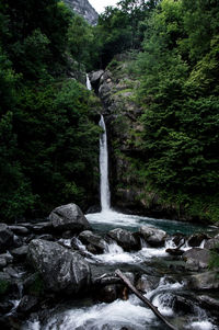 Waterfall in forest