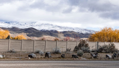 View of sheep on snowcapped mountain against sky