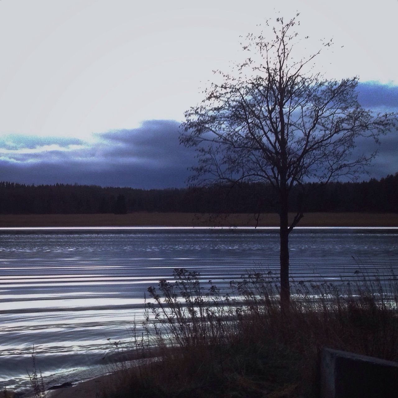 bare tree, tranquility, tranquil scene, tree, water, scenics, beauty in nature, sky, lake, nature, silhouette, landscape, branch, clear sky, non-urban scene, river, idyllic, dusk, outdoors, no people