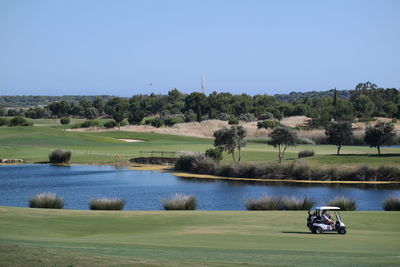 Trees on golf course against clear blue sky