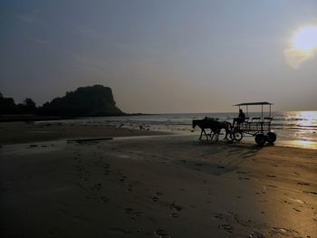 Scenic view of horse cart at beach during sunset