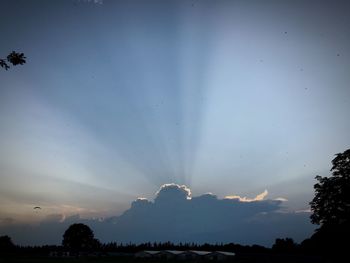 Silhouette trees against sky