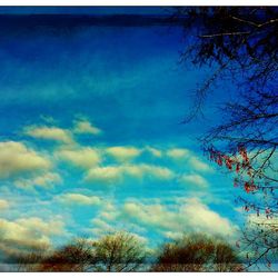 Low angle view of bare trees against blue sky