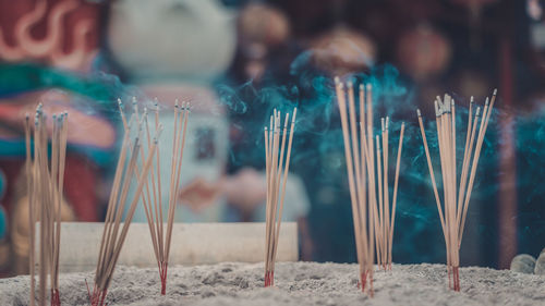 Close-up of incense in temple