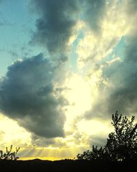 Low angle view of silhouette trees against sky during sunset