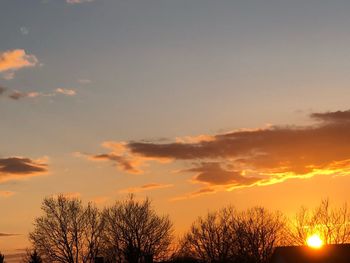 Low angle view of silhouette trees against sky during sunset