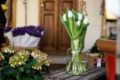 Close-up of potted plant on table