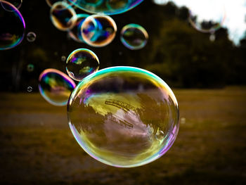 bubble