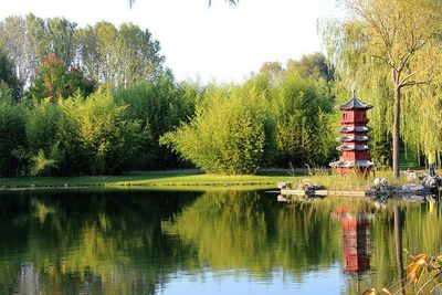 Reflection of trees in lake