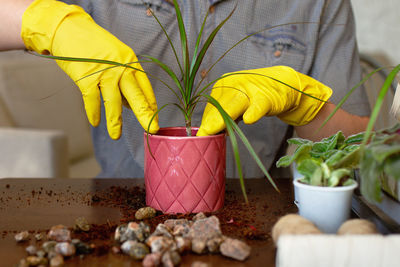 Midsection of man planting plant into pot on table