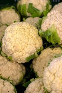 Close-up of vegetables