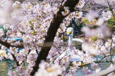 Close-up of bird perching on tree