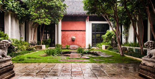 Trees growing against house at courtyard