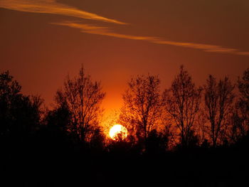 Low angle view of silhouette trees against orange sky