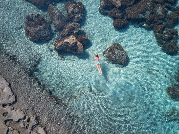 High angle view of woman swimming in sea