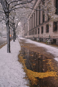 Snow covered road amidst trees and buildings in city