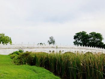 Trees and plants growing on field against sky