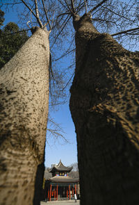 Low angle view of trees and building against sky