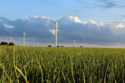 Wind turbines on field against sky