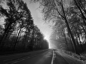 Road amidst trees in forest