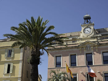 Low angle view of palm trees and building against sky