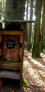 Text on tree trunk in forest