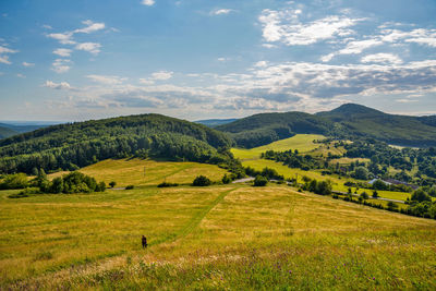 Scenic view of landscape against sky