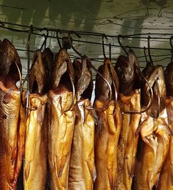 Close-up of fish for sale in market