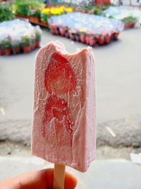 Close-up of hand holding ice cream