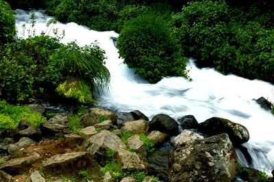 Scenic view of waterfall in forest
