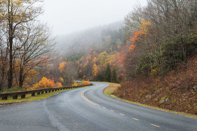 Road amidst trees in forest during autumn