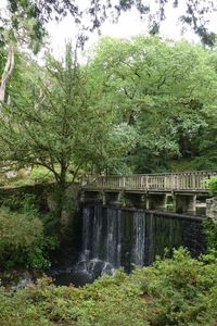 Scenic view of waterfall against trees