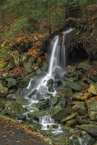 View of waterfall in forest