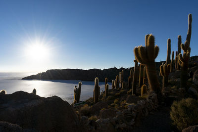 Panoramic view of rocks on beach against clear sky