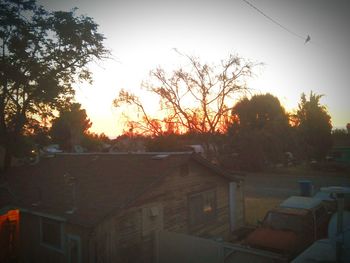 Bare trees against sky at sunset