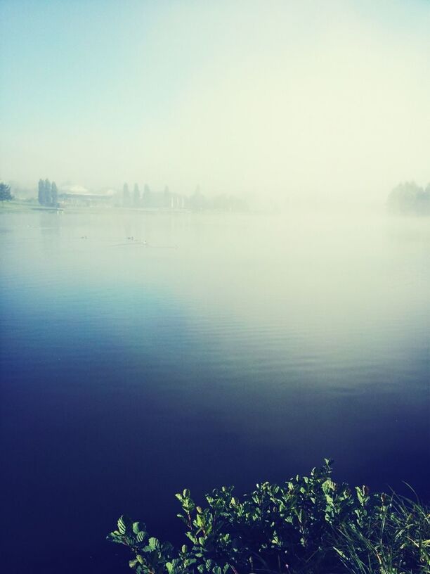 water, lake, tranquility, tranquil scene, reflection, scenics, beauty in nature, waterfront, nature, copy space, sky, clear sky, river, calm, day, no people, idyllic, outdoors, plant