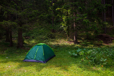 Tent in forest