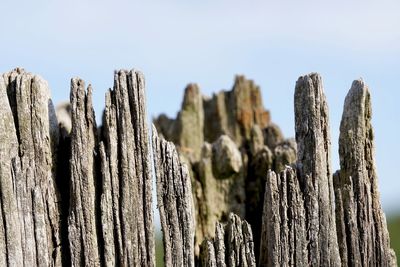 Panoramic shot of wooden post against sky