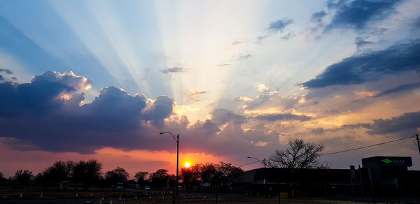 Silhouette trees by street against sky during sunset