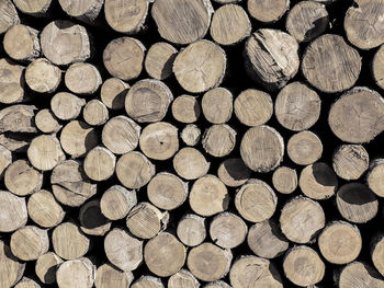 Full frame shot of logs