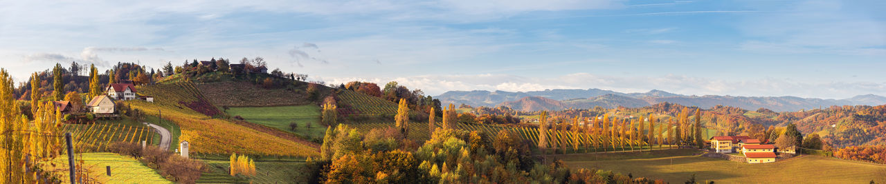 South styria vineyards panorama, tuscany of austria. sunrise in autumn. colorful trees