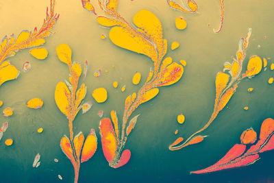 High angle view of orange leaves floating on lake