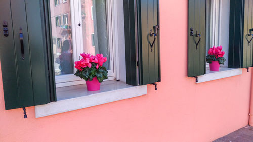 Flower vase on window of building